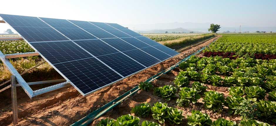 DIVERSAS PLACAS SOLARES EM UMA FAZENDA APÓS SEU DONO ENTENDER A TAXA DE FINANCIAMENTO DE ENERGIA SOLAR NA AGRICULTURA