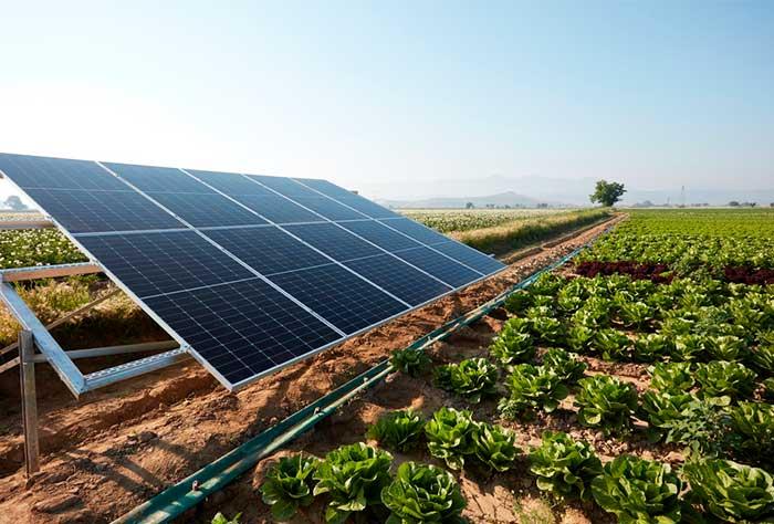 DIVERSAS PLACAS SOLARES EM UMA FAZENDA APÓS SEU DONO ENTENDER A TAXA DE FINANCIAMENTO DE ENERGIA SOLAR NA AGRICULTURA